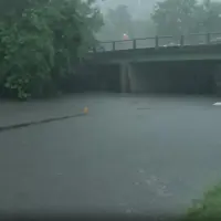 news_bronxrain_71525545294