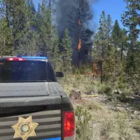 lapine_fire-3