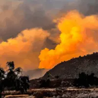 califire805366713