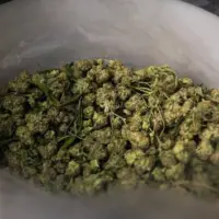 getty_marijuana-gty-er-250811_1754934083381_hpmain24843