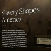 news_smithsonian_81925921284