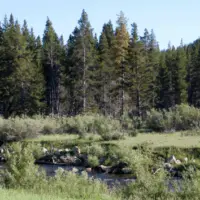 getty_wyoming361389