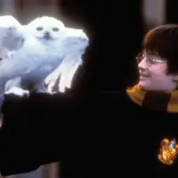 getty_harrypotter_082525991002