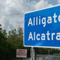 g_aligatoralcatraz_082725937014