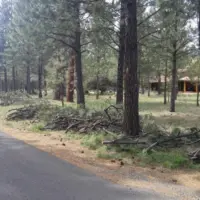 wildfire_risk