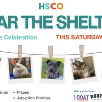 hsco-clear-the-shelters-l