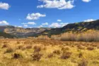 getty_rio-grande-national-forest-01-gty-jt-250918_1758211328108_hpmain_4x3506214