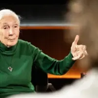 e_janegoodall_100325160993