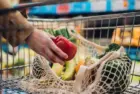 gettyrf_82522_shoppingvegscanvasbag2028129914110