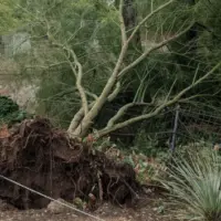 zoo_storm_1014842448