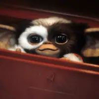 getty_gremlins_110625198839