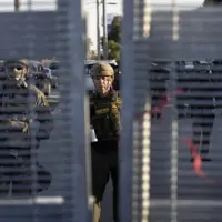 g_bovino_111125344696