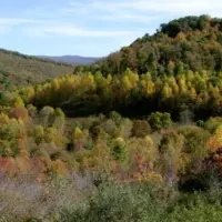 getty_allegheny-mountains-gty-jef-251110_1762790818210_hpmain269388