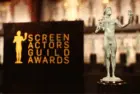 getty_screenactorsguildawards_111425375175