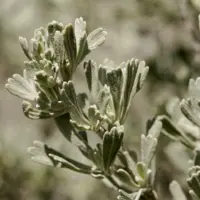 imgi_3_https3a2f2fcdn-evbuc-com2fimages2f11711702842f27469191738212f12foriginal