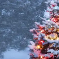 idaho_christmas-tree-permits