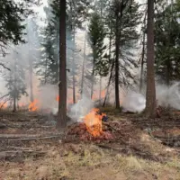 prescribed_burn-4