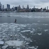 abc_nycice_012826689278