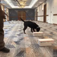 untitled20design20281329983291