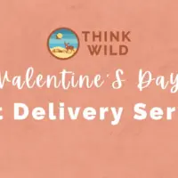 imgi_27_valentines-day-banner-2