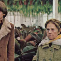 getty_haroldandmaude_021126343702