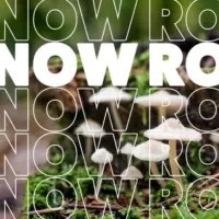 dpl_032026_know_rot_720-x-480