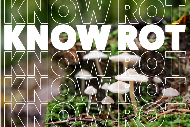 "Know Rot" this March with Deschutes Public Library | MyCentralOregon ...
