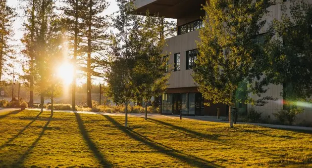 52489953834_fcabccdd59_c