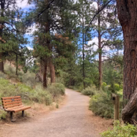 bprd-drt-south-canyon-071619-19-of-34-e1765389186229