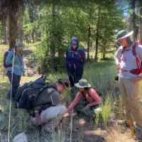volunteers-observing-and-interpreting-track-and-sign-during-a-summer-outing-in-the-ochocos