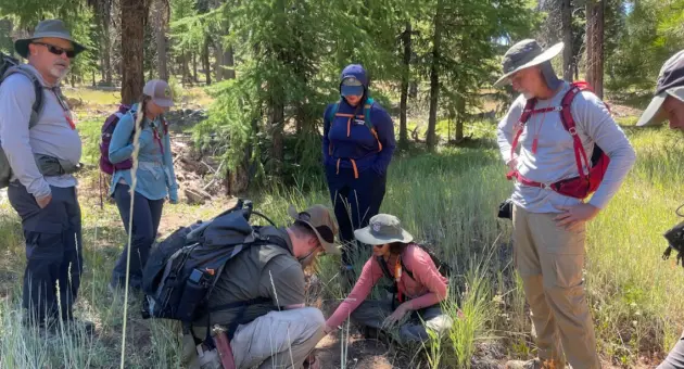 volunteers-observing-and-interpreting-track-and-sign-during-a-summer-outing-in-the-ochocos