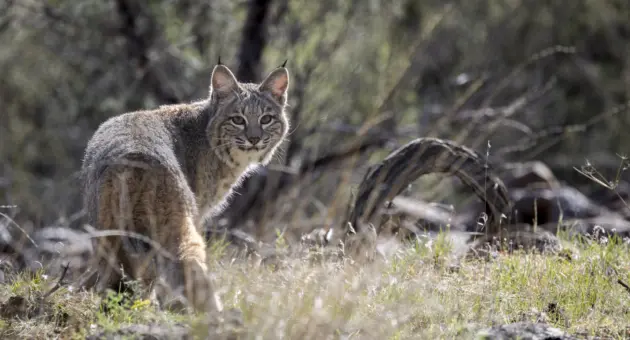 close-up-release-shot-_photo-credit_-sue-dougherty