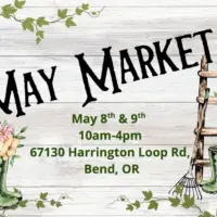 imgi_27_655518147_1267303252167954_4010646149542605187_n