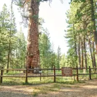 lapinestateparkdylanvanweelden