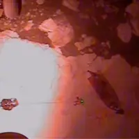 news_iceflow_41526668812