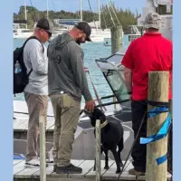 abc20news_cadaver20dogs20in20bahamas_041626249661