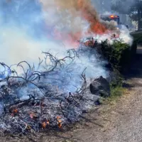 croppedbrushfirestudiord