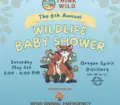2026-baby-shower-event-flyer