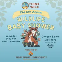 2026-baby-shower-event-flyer