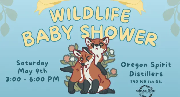 2026-baby-shower-event-flyer