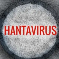 gettyrf_hantavirus_050626230952