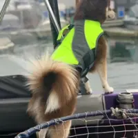 preparedpoochpfd