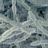 g_legionnaires_070926992921