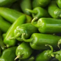 getty_jalapenos_080626782679