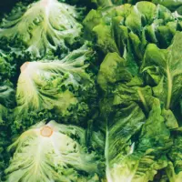 getty_lettuce_080626761273
