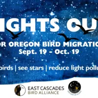 lights-out-oregon