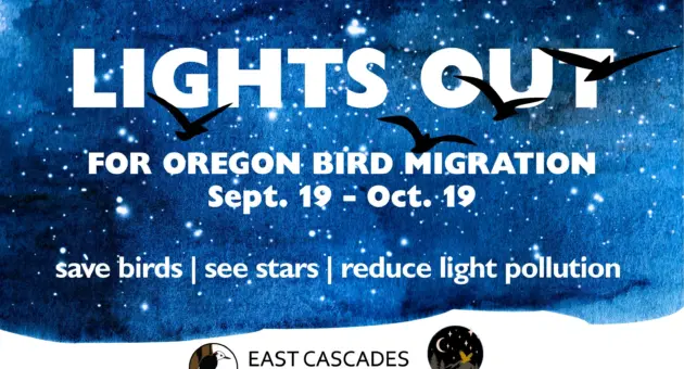 lights-out-oregon