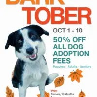hsco-barktober-poster