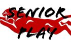 mhs-senior-play