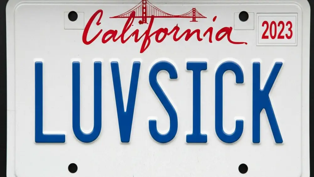 luvsick-plate-1024x576326351-1